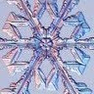 Meet your Posher, Anne